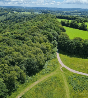 Picture Wellignton from above