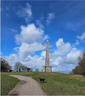 Picture Wellignton Monumenet